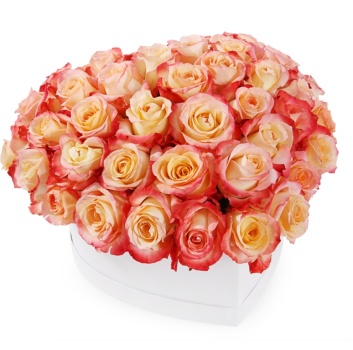 Сердце из 51 розы  в коробке