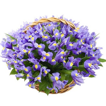 Букет из ирисов "Марта"