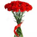 Букеты из красных гвоздик