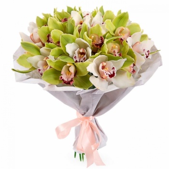 Букет из 25 орхидей "Малика"