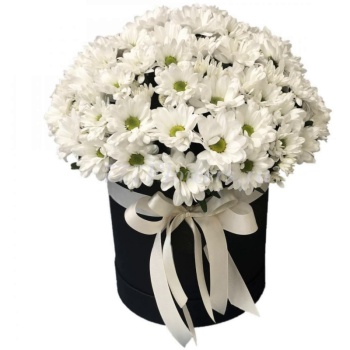 Хризантемы в коробке "Ева"