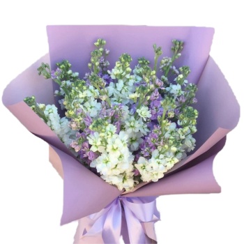 Букет из маттиол "Сибилла"