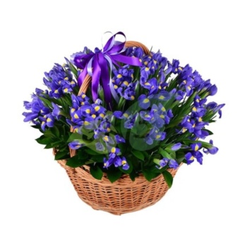 Букет из ирисов с зеленью "Пэппи"