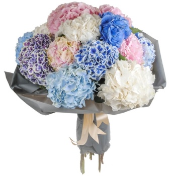 Букет из гортензий "Джина"