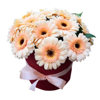 Герберы в коробке "Берта"