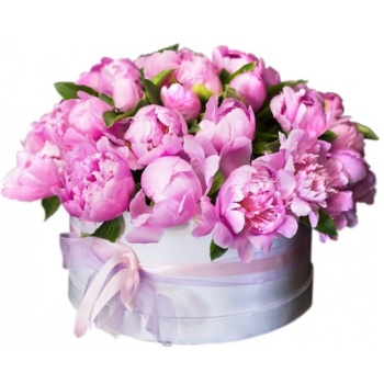 Букет из пионов в коробке "Вилора"