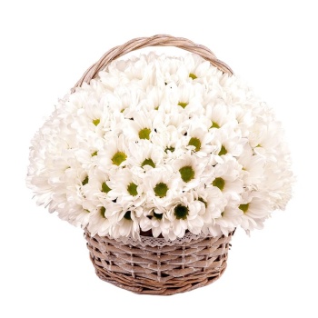 Букет из хризантем "Бэлла"