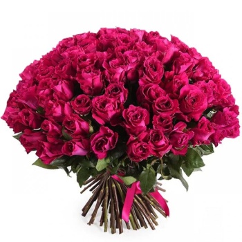 Букет из 75 малиновых роз