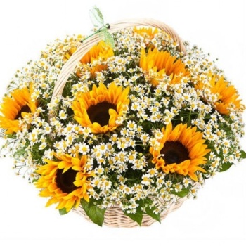 Букет из подсолнухов в корзине "Холли"
