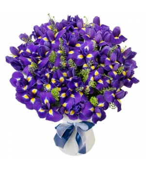 Букет из ирисов с зеленью "Равэнна"