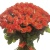 Букет из 101 коралловой розы Букет из 101 коралловой розы