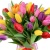 Букет MIX из 35 тюльпанов Букет MIX из 35 тюльпанов