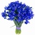 Букет из 35 ирисов Букет из 35 ирисов