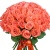Букет из 51 коралловой розы Букет из 51 коралловой розы