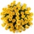 Букет из 55 желтых роз Букет из 55 желтых роз