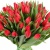 Букет из 51 красного тюльпана