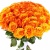 Букет из 51 оранжевой розы Букет из 51 оранжевой розы