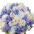 Букет MIX из 45 гиацинтов Букет MIX из 45 гиацинтов