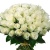 Букет из 55 белых роз Букет из 55 белых роз
