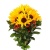 Букет из подсолнуха и гиперикума Букет из подсолнуха и гиперикума