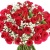 Букет из 55 малиновых роз с гипсофилой Букет из 55 малиновых роз с гипсофилой