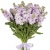 Букет из 19 сиреневых маттиол Букет из 19 сиреневых маттиол