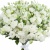 Букет из белой эустомы