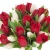Букет из 35 красных и белых тюльпанов Букет из 35 красных и белых тюльпанов