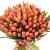 Букет из 75 голландских тюльпанов Букет из 75 голландских тюльпанов