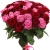 Букет из 51 красной и розовой розы Букет из 51 красной и розовой розы
