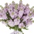 Букет из 27 сиреневых маттиол Букет из 27 сиреневых маттиол