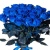 Букет из 25 синих роз Букет из 25 синих роз