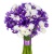 Букет из ирисов "Иришка" Букет из ирисов "Иришка"