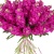 Букет из 25 малиновых маттиол Букет из 25 малиновых маттиол