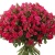 Букет из 55 кустовых малиновых роз Букет из 55 кустовых малиновых роз
