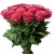 Букет из 25 малиновых роз Букет из 25 малиновых роз