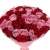 Букет из роз "Мария" Букет из роз "Мария"