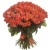 Букет из 101 коралловой розы Букет из 101 коралловой розы