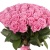 Букет из 75 розовых роз Букет из 75 розовых роз