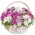 Корзина MIX из 19 веток хризантем Корзина MIX из 19 веток хризантем