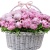 Букет из 51 розового пиона в корзине Букет из 51 розового пиона в корзине