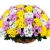 MIX из 51 ветки хризантем в корзине MIX из 51 ветки хризантем в корзине