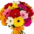 Букет MIX из 31 гербера Букет MIX из 31 гербера