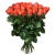 Букет из 51 коралловой розы Букет из 51 коралловой розы