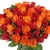 Букет из 51 красной и оранжевой розы Букет из 51 красной и оранжевой розы