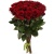 Букет из 19 красных роз